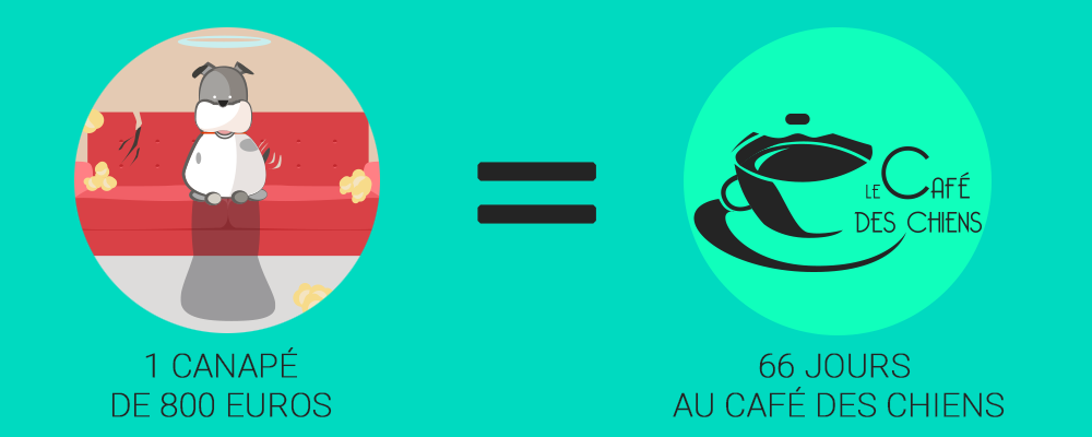 1 canape egal 66 jours au cafe des chiens
